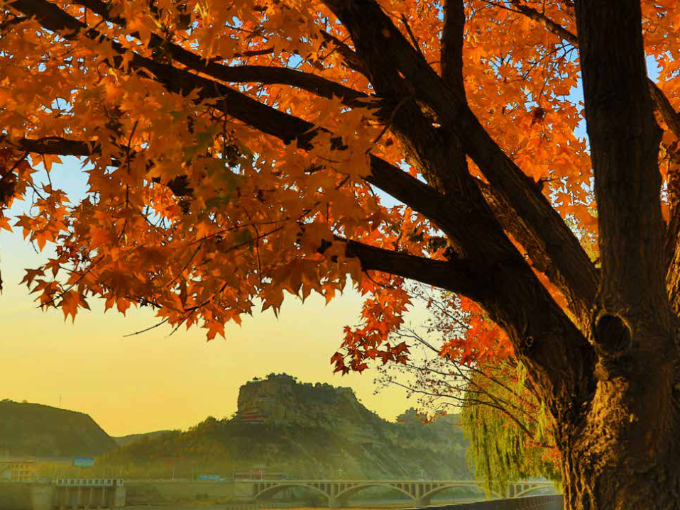 秋冬的二郎山，等你赴一场人文之约